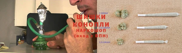 прущие грибы Кинешма