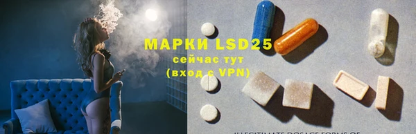 прущие грибы Кинешма