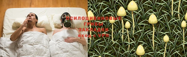 прущие грибы Кинешма