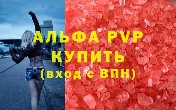 прущие грибы Кинешма