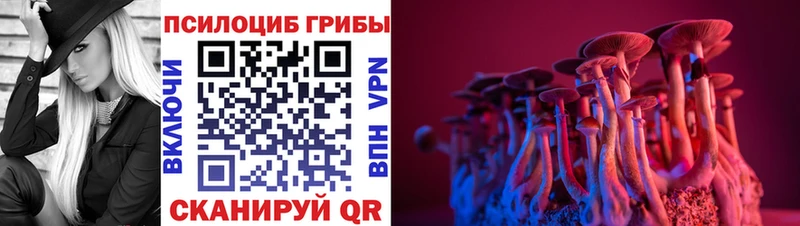 Псилоцибиновые грибы GOLDEN TEACHER  Купить где  Усолье 