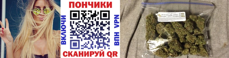 Купить Усолье Каннабис ГИДРОПОН